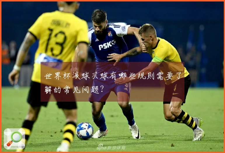 世界杯滚球买球有哪些规则需要了解的常见问题？