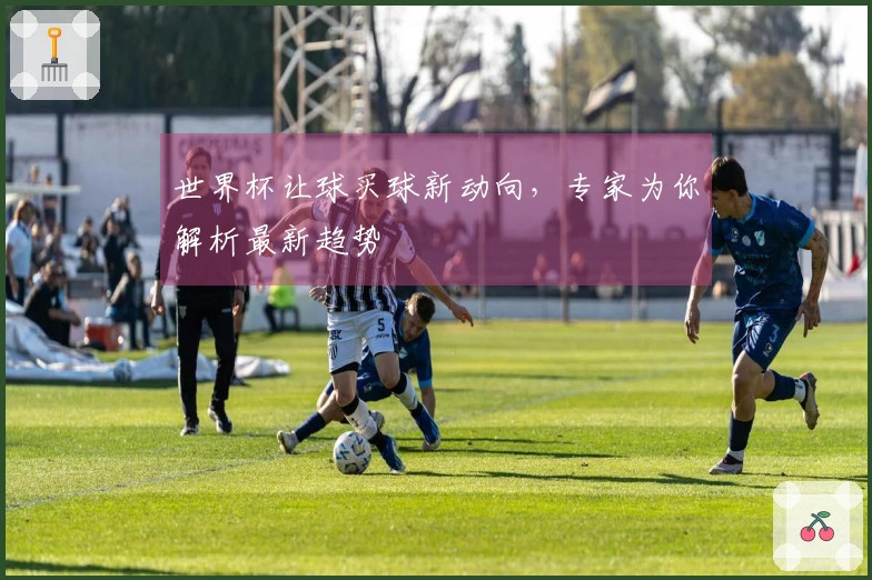 世界杯让球买球新动向，专家为你解析最新趋势