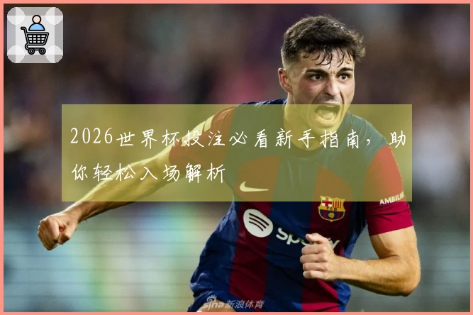2026世界杯投注必看新手指南，助你轻松入场解析