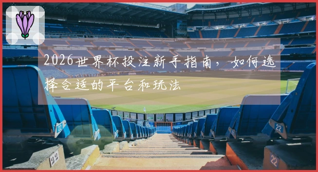 2026世界杯投注新手指南，如何选择合适的平台和玩法