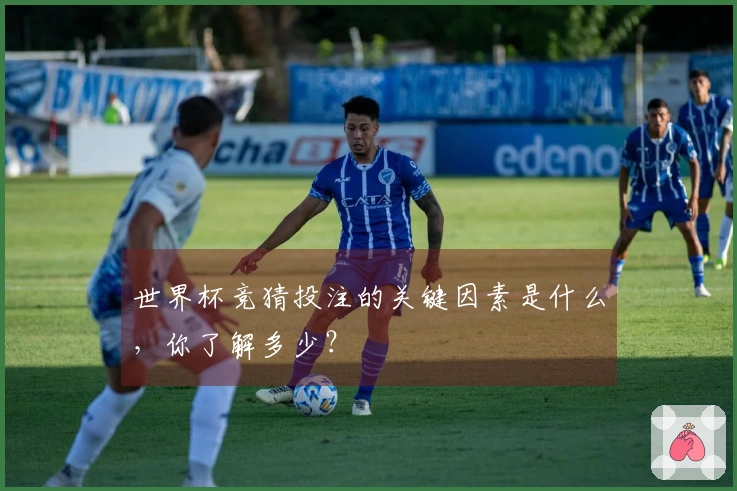 世界杯竞猜投注的关键因素是什么，你了解多少？