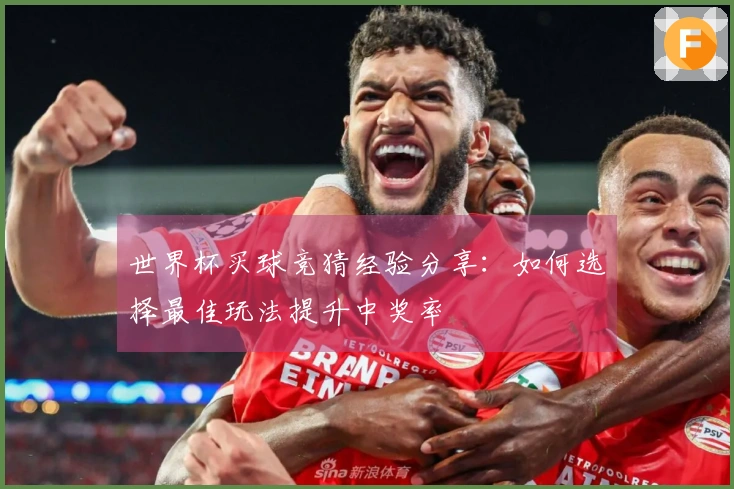 世界杯买球竞猜经验分享：如何选择最佳玩法提升中奖率