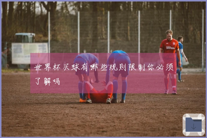 世界杯买球有哪些规则限制你必须了解吗