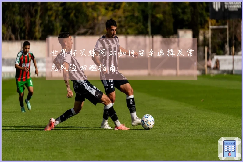 世界杯买球网站如何安全选择及常见风险回避指南