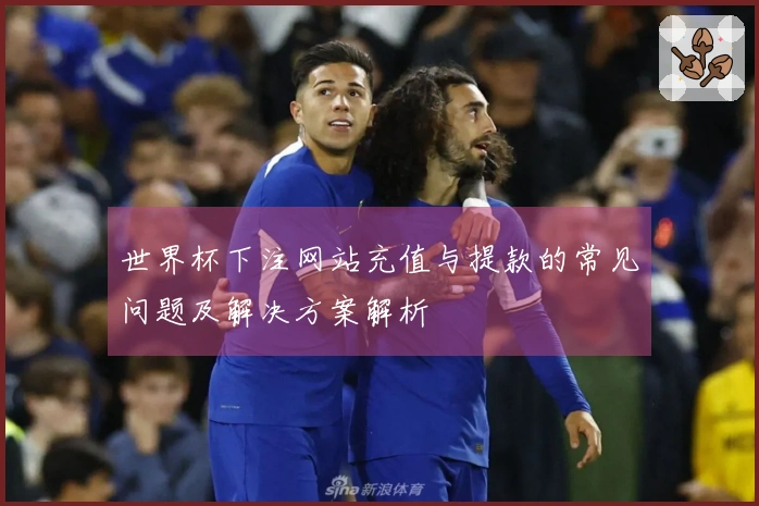世界杯下注网站充值与提款的常见问题及解决方案解析