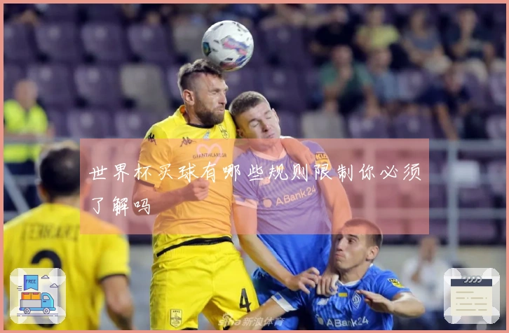 世界杯买球有哪些规则限制你必须了解吗
