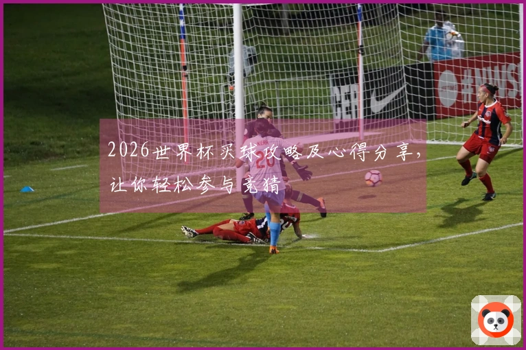 2026世界杯买球攻略及心得分享，让你轻松参与竞猜