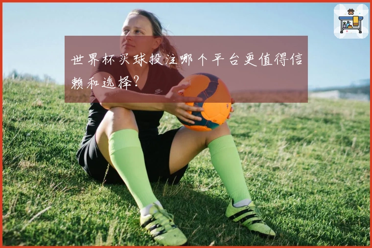 世界杯买球投注哪个平台更值得信赖和选择？