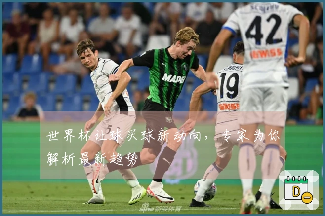 世界杯让球买球新动向，专家为你解析最新趋势