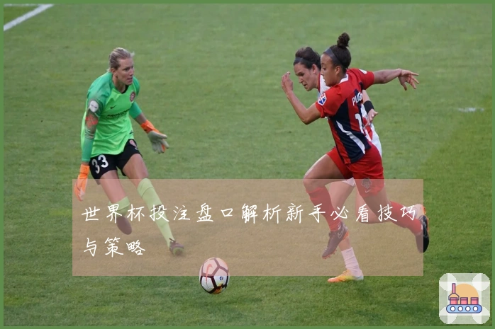 世界杯投注盘口解析新手必看技巧与策略