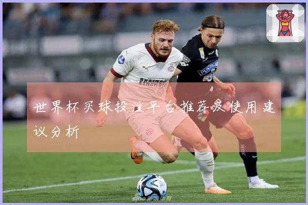 世界杯买球投注平台推荐及使用建议分析