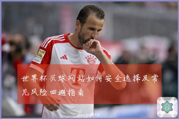 世界杯买球网站如何安全选择及常见风险回避指南