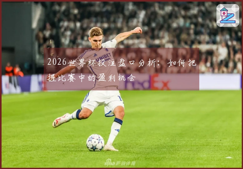 2026世界杯投注盘口分析：如何把握比赛中的盈利机会