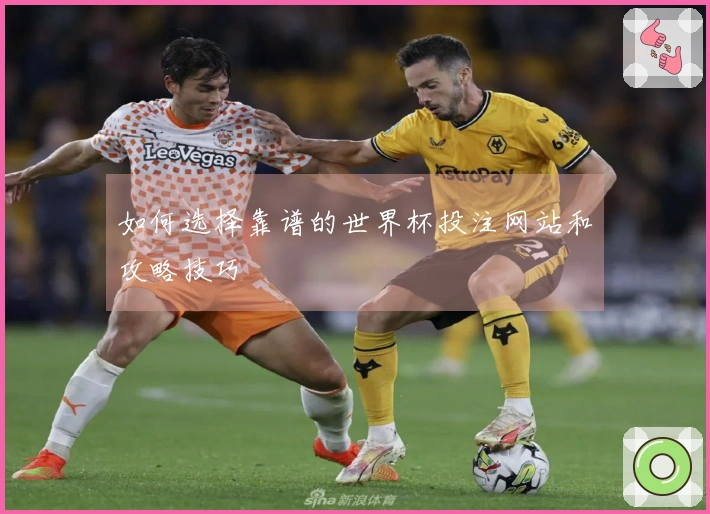 如何选择靠谱的世界杯投注网站和攻略技巧