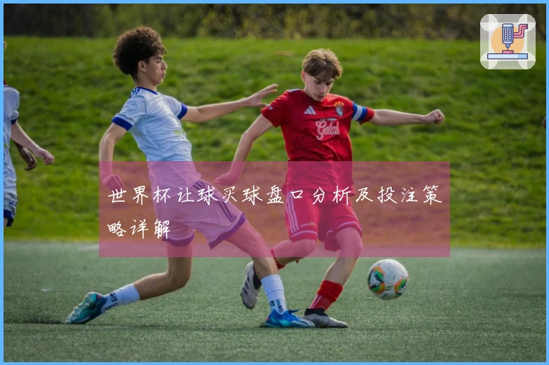 世界杯让球买球盘口分析及投注策略详解